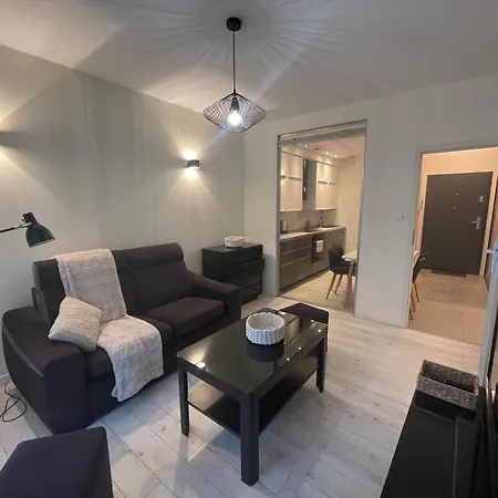 Apartment Boznicza Modern Apartment, Self Check-in 24h, Free Parking Poznan